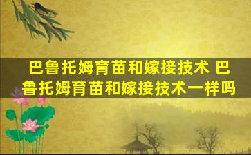 巴鲁托姆育苗和嫁接技术 巴鲁托姆育苗和嫁接技术一样吗